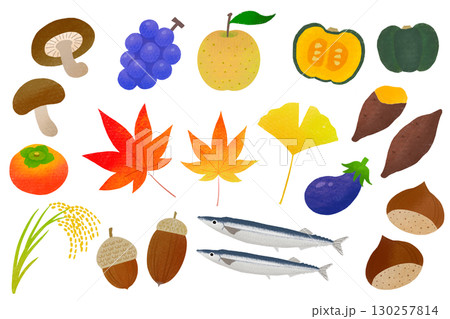 秋素材　秋の味覚と自然　手書き風 130257814