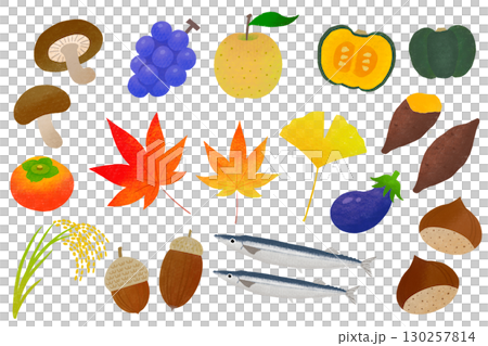 Autumn ingredients, autumn flavors and nature, hand-drawn style 130257814