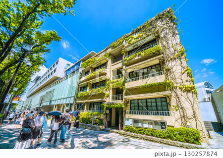 日本の東京都市景観 緑に包まれた…表参道ヒルズ・同潤館などを望む 130257874
