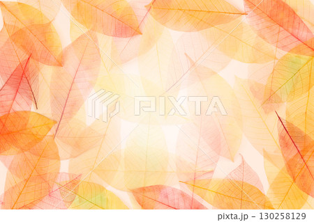 Autumn leaves background. Vibrant skeleton leaves texture 130258129