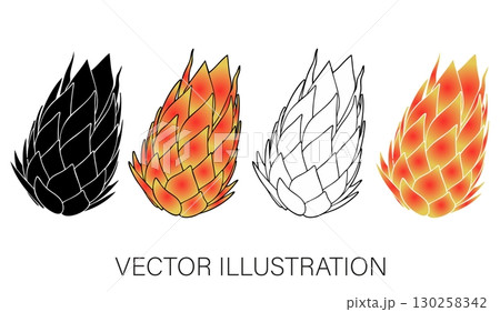 Dragon Fruit Illustration Set: Whole, Sliced, and Line Art 130258342