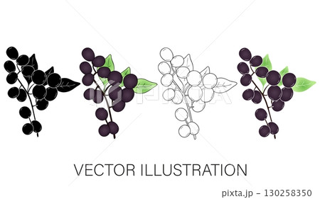 Grape Bunch Vector Illustration Set: Color, Line Art, Flat, and Coloring 130258350