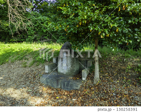 重殿淵　出雲伊波比神社の流鏑馬　埼玉県毛呂山町 130258391