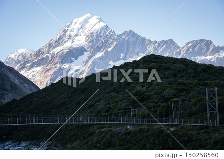 Tourist walking a swing bridge with huge snowy mountain in backdrop, Mt Cook, New Zealand Tourist walking a swing bridge with huge snowy mountain in backdrop, Mt Cook, New Zealand 130258560