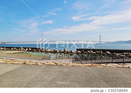 大蔵海岸公園と明石海峡大橋 130258694