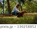 English Cocker Spaniel Walking with Owner in Park 130258852