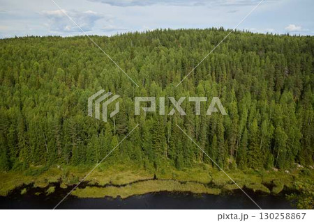 The Lush Green Forest That Borders a Serene and Peaceful Riverbank Area is Truly Stunning 130258867