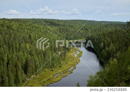 Beautiful Lush Forest Landscape Featuring a Serene Meandering River in a Remote Area 130258880