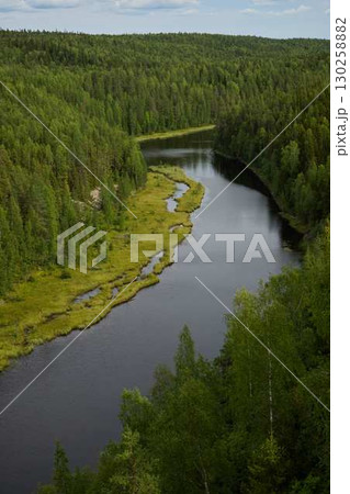 A Beautiful Scenic River Flowing Gracefully Through the Lush Green Forest Landscape 130258882