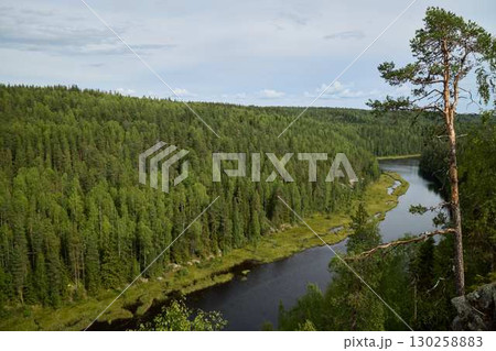 A Serene Forest Landscape Featuring a River that Embodies Natural Harmony and Beauty 130258883