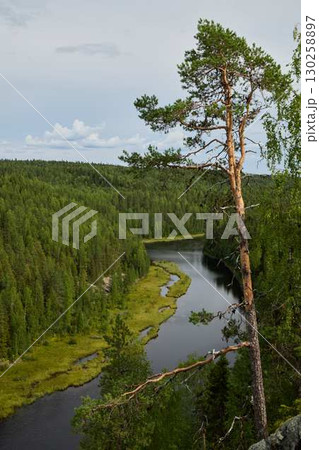 A Serene River Meandering Gracefully Through a Lush and Vibrant Green Forest Landscape A Serene River Meandering Gracefully Through a Lush and Vibrant Green Forest Landscape 130258897