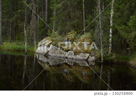 A Tranquil Reflection of a Rock Illuminated by Sunlight in a Forested Landscape Setting A Tranquil Reflection of a Rock Illuminated by Sunlight in a Forested Landscape Setting 130258900