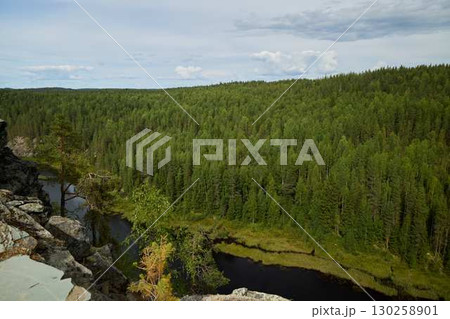 Experience the stunning view of a lush forest accompanied by a meandering river 130258901