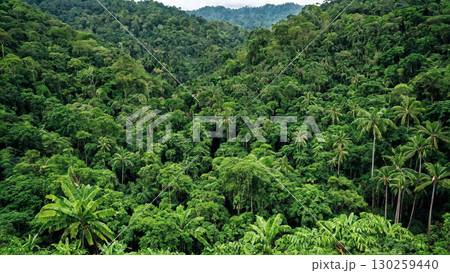 熱帯雨林の広大な山々と緑豊かな自然の風景 130259440