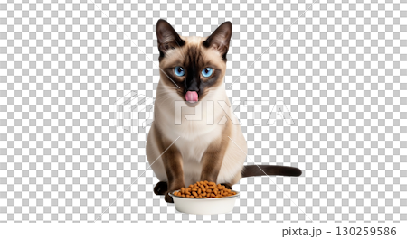 A siamese cat with striking blue eyes focuses intently on a bowl of dry food, licking its lips in excitement and anticipation, isolated against a transparent background. 130259586
