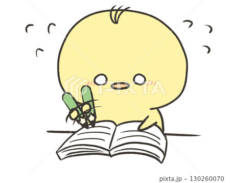 慌てて勉強するひよこ 130260070