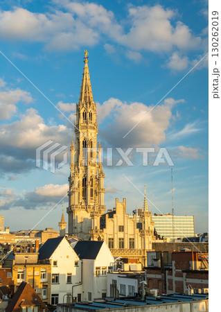Town Hall and City Center. Brussels, Belgium Town Hall and City Center. Brussels, Belgium 130262019