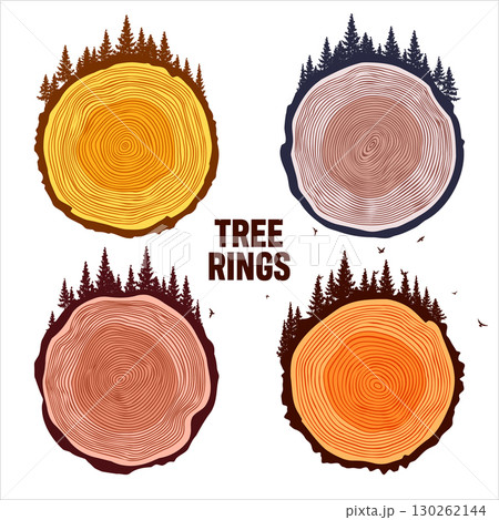Round tree trunk cuts with trees, forest and birds. Sawn pine or oak slices, lumber. Saw cut timber, wood. Brown wooden texture with tree rings. Hand drawn sketch. Vector illustration Round tree trunk cuts with trees, forest and birds. Sawn pine or oak slices, lumber. Saw cut timber, wood. Brown wooden texture with tree rings. Hand drawn sketch. Vector illustration 130262144