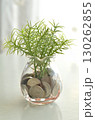 plant in glass jar 130262855