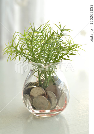 plant in glass jar plant in glass jar 130262855
