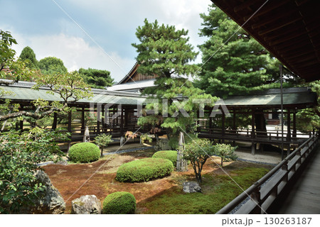 夏の大覚寺　庭園と村雨の廊下(京都市右京区) 130263187