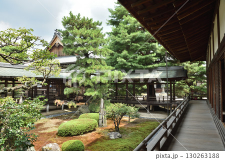 夏の大覚寺 庭園と村雨の廊下(京都市右京区) 夏の大覚寺 庭園と村雨の廊下(京都市右京区) 130263188