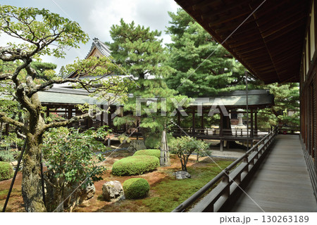 夏の大覚寺 庭園と村雨の廊下(京都市右京区) 夏の大覚寺 庭園と村雨の廊下(京都市右京区) 130263189