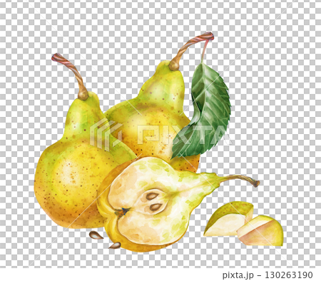 Watercolor composition with pears, hand-drawn. Whole pears, halves and sliced pieces of fruit. The botanical illustration is isolated on a white background. For a culinary blog and materials about a Watercolor composition with pears, hand-drawn. Whole pears, halves and sliced pieces of fruit. The botanical illustration is isolated on a white background. For a culinary blog and materials about a 130263190