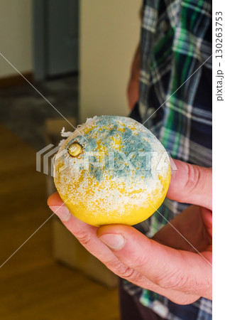Close up of a person holding a spoiled lemon with green and white mold on the surface. Concept of food waste and decay. High quality photo Close up of a person holding a spoiled lemon with green and white mold on the surface. Concept of food waste and decay. High quality photo 130263753