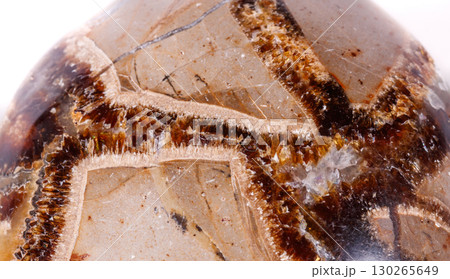 Macro mineral stone Simbirzit and Septaria on white background 130265649