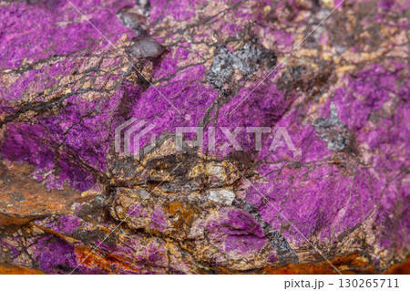 Macro mineral stone purpureus, (purple) purpurite in the breed a white background Macro mineral stone purpureus, (purple) purpurite in the breed a white background 130265711