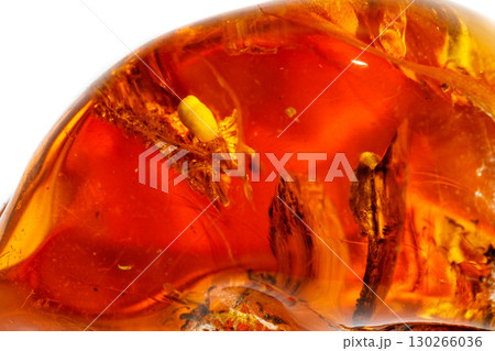 Macro Amber mineral stone with spider on white background Macro Amber mineral stone with spider on white background 130266036