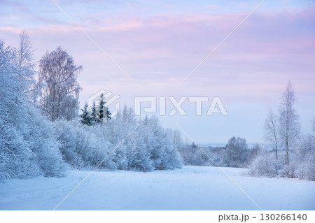 Beautiful winter landscape with field of white snow and forest on horizon on sunny frosty day Beautiful winter landscape with field of white snow and forest on horizon on sunny frosty day 130266140