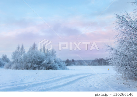 Beautiful winter landscape with field of white snow and forest on horizon on sunny frosty day Beautiful winter landscape with field of white snow and forest on horizon on sunny frosty day 130266146