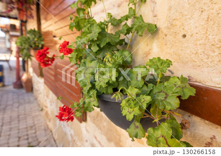 Cobbled street of old city with empty tables in street cafe, flowers in early morning, Side, Turkey. High quality photo 130266158