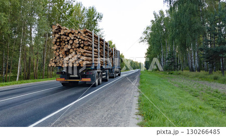 Long heavy industrial wood carrier cargo vessel truck trailer with big timber driving on highway road. Back view. Timber export and shipping concept Long heavy industrial wood carrier cargo vessel truck trailer with big timber driving on highway road. Back view. Timber export and shipping concept 130266485