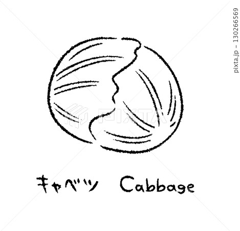 手描きのキャベツ2_名称入_白黒 130266569