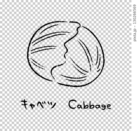 手描きのキャベツ2_名称入_白黒 130266569