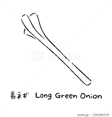 手描きの長ネギ2_名称入_白黒 130266578