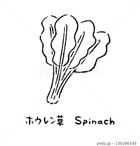 手描きのほうれん草2_名称入_白黒 130266588