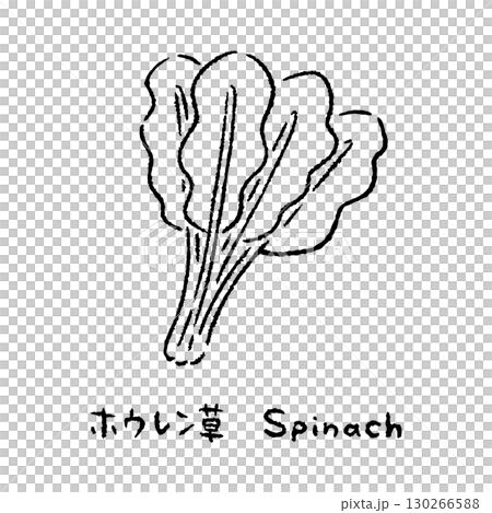 手描きのほうれん草2_名称入_白黒 130266588