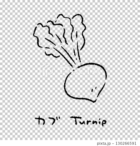 Hand-drawn turnip 2_Name_Black and white Hand-drawn turnip 2_Name_Black and white 130266591