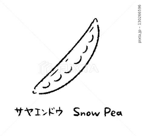 手描きのさやえんどう2_名称入_白黒 130266596