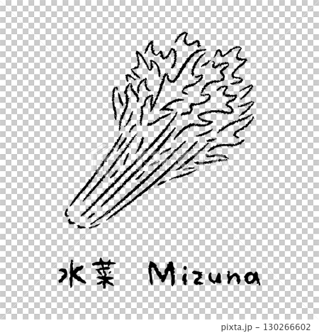 手描きの水菜2_名称入_白黒 手描きの水菜2_名称入_白黒 130266602