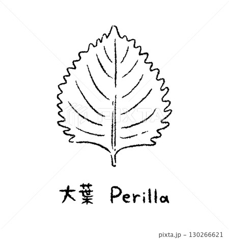 手描きの大葉2_名称入_白黒 130266621
