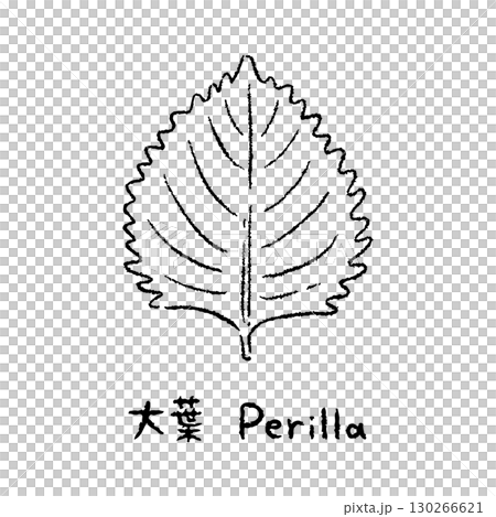手描きの大葉2_名称入_白黒 130266621