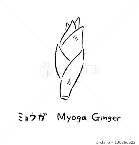 手描きのみょうが2_名称入_白黒 130266622