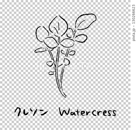 手描きのクレソン2_名称入_白黒 130266623