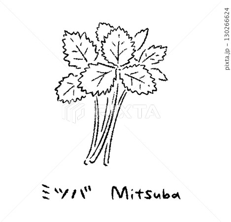 手描きのみつば2_名称入_白黒 130266624