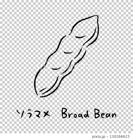 手描きのそら豆2_名称入_白黒 130266625